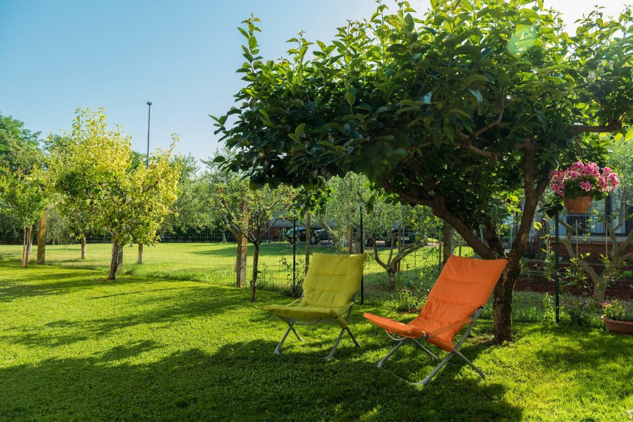 B&B Carmela Umag Exterior photo