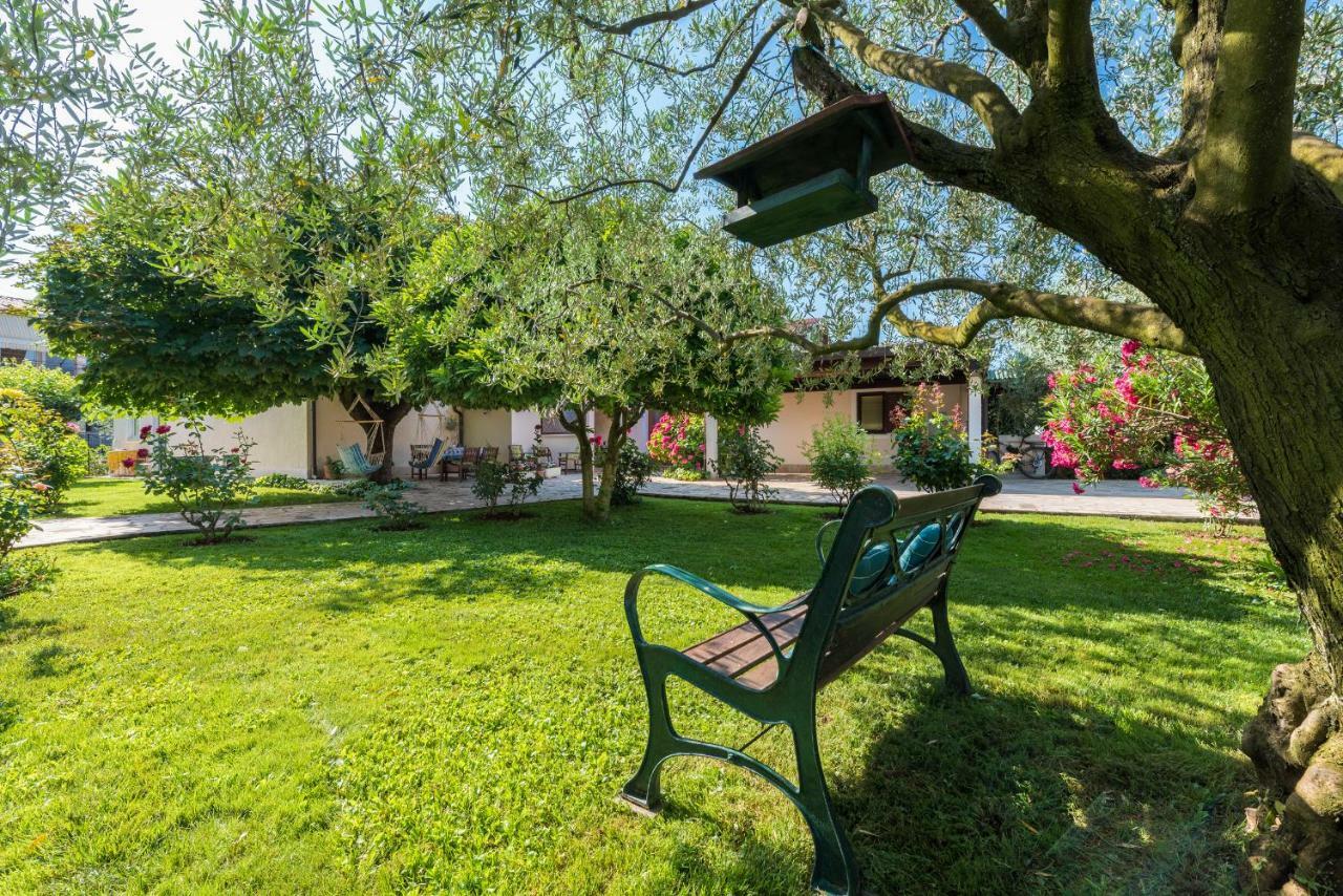 B&B Carmela Umag Exterior photo